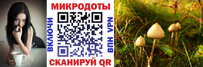купить закладку  Нижние Серги  Псилоцибиновые грибы ЛСД 